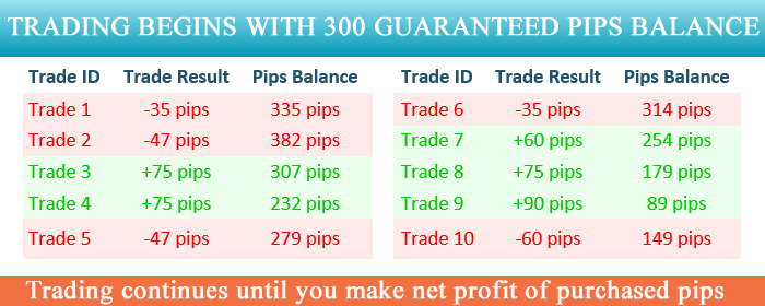 Signalator guaranteed pips calculation example