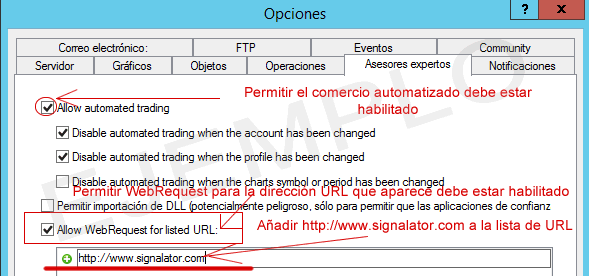 Asesores expertos allow web request