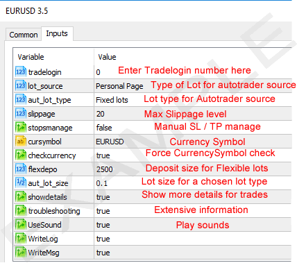 Metatrader MT5 inputs tab