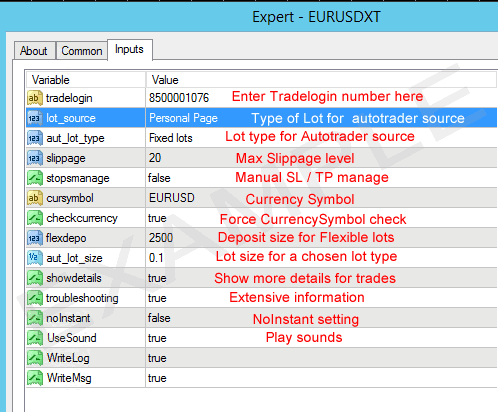 Metatrader MT4 inputs tab